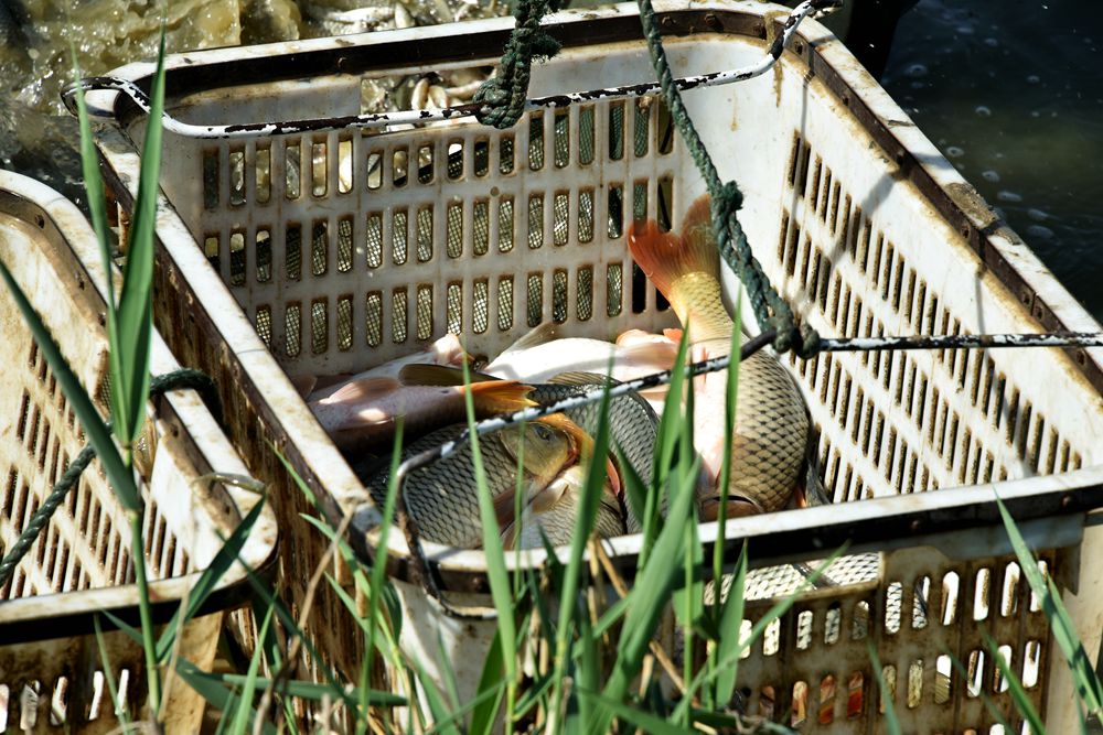 ��Ƭ��԰���� 385_����.jpg