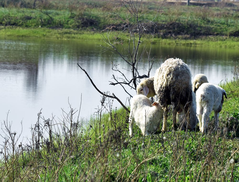 ��Ƭ��԰���� 551_����.jpg