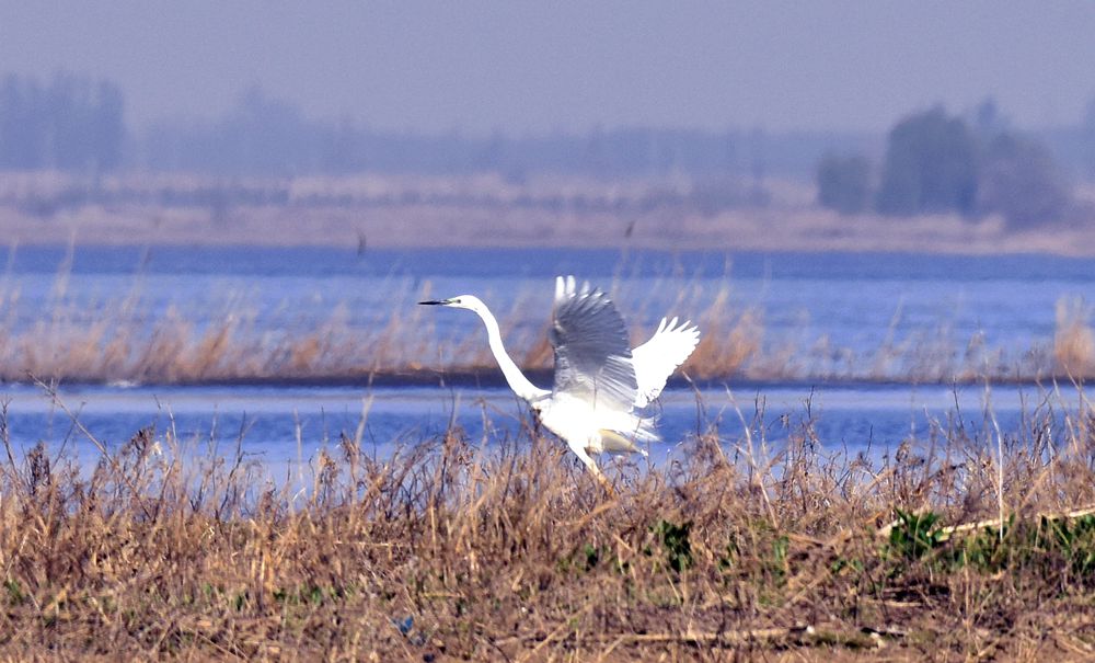 ��Ƭ��԰���� 569_����.jpg