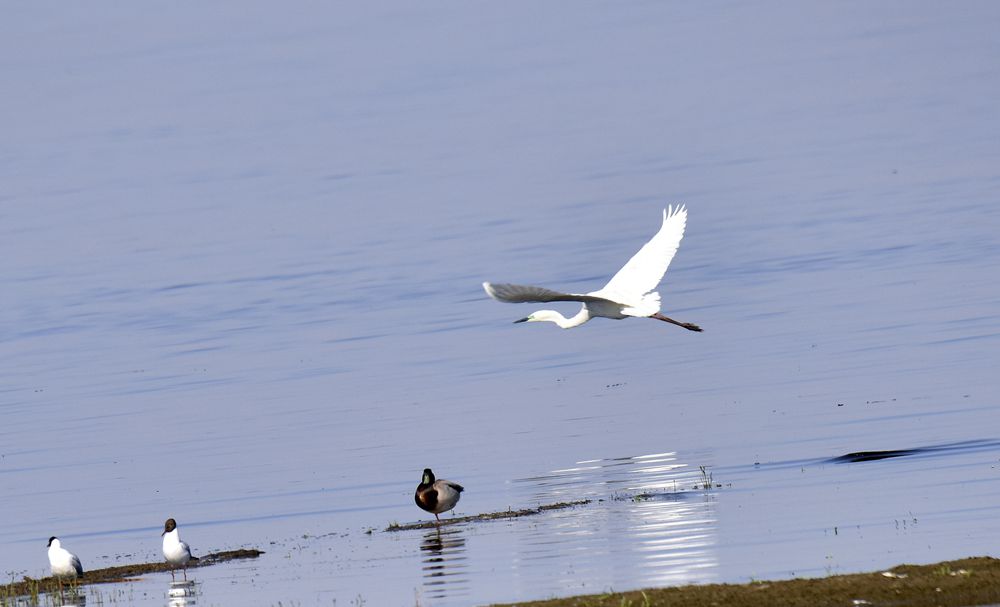 ��Ƭ��԰���� 610_����.jpg