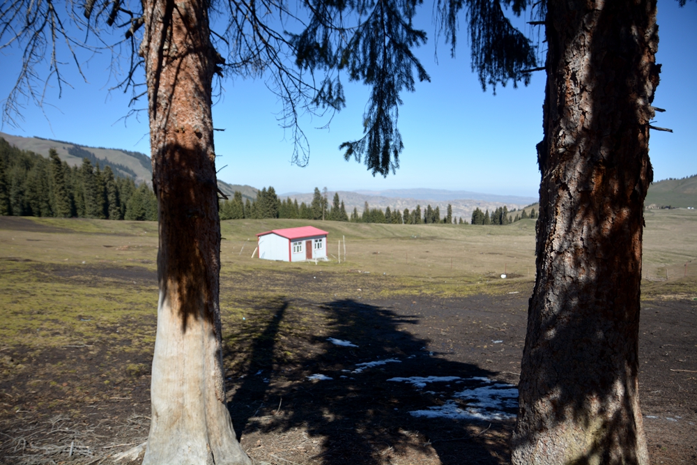 ¹����֮�� 119_����.jpg