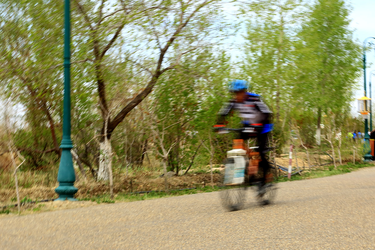 ����ٻӰ (11).jpg