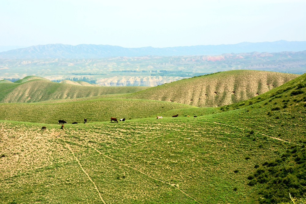 ���κú��� 096.jpg