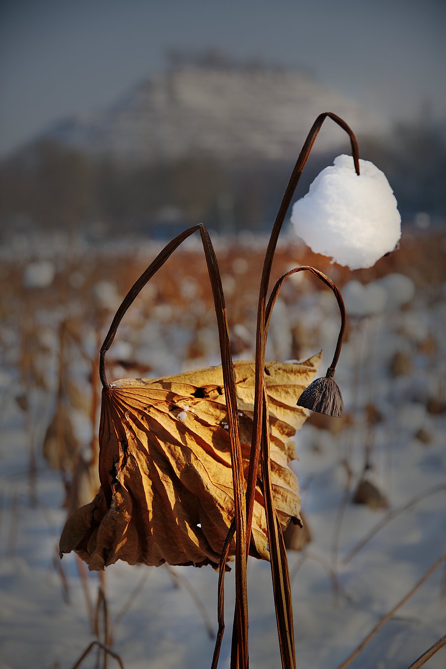 ���кɡ����Ź� 13899508168 (3).jpg