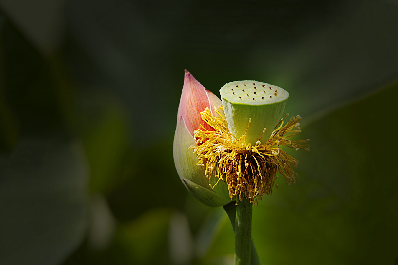 �����������Ź� 13899508168.jpg