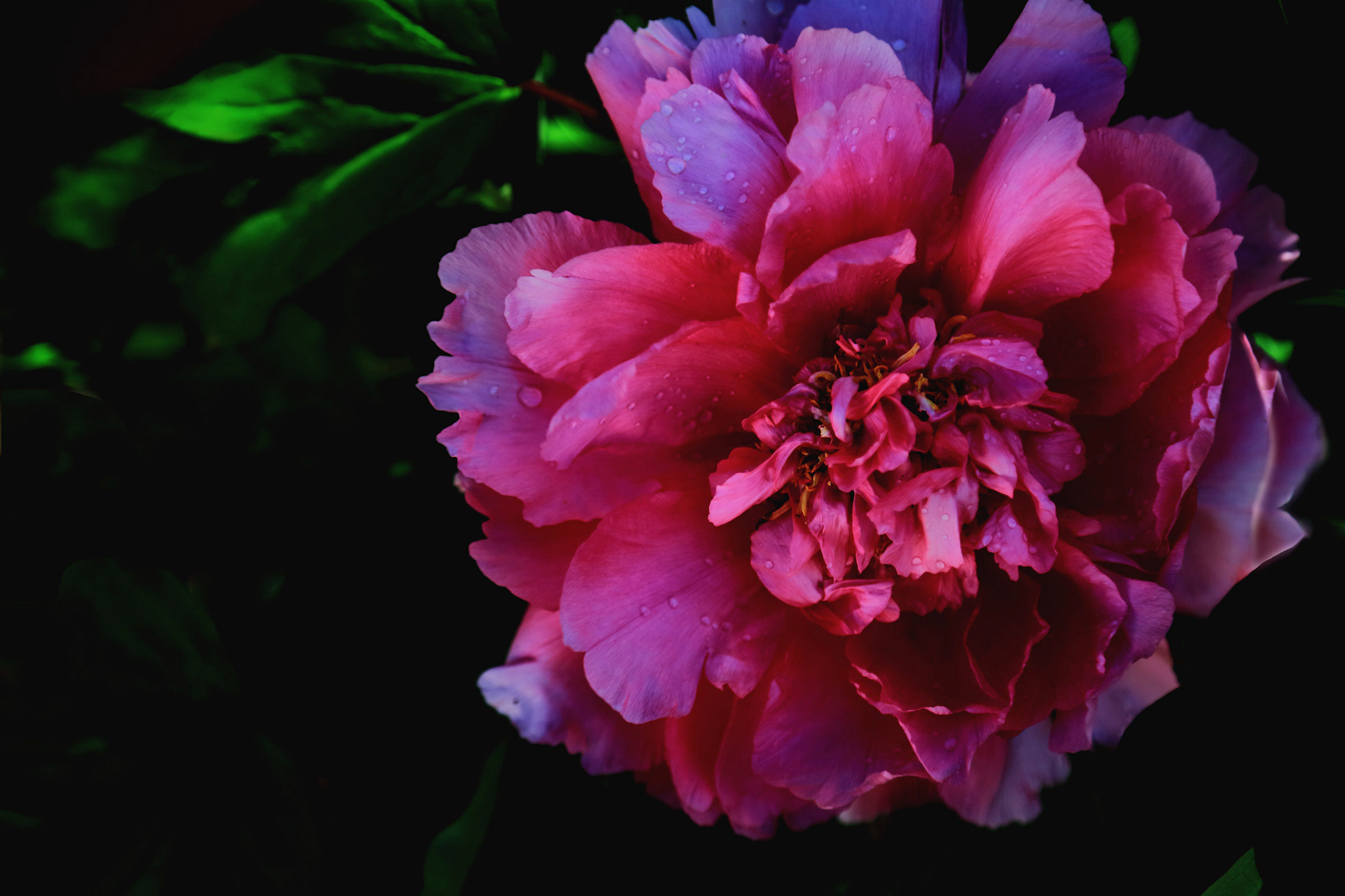 ��ɫ���� (10).jpg