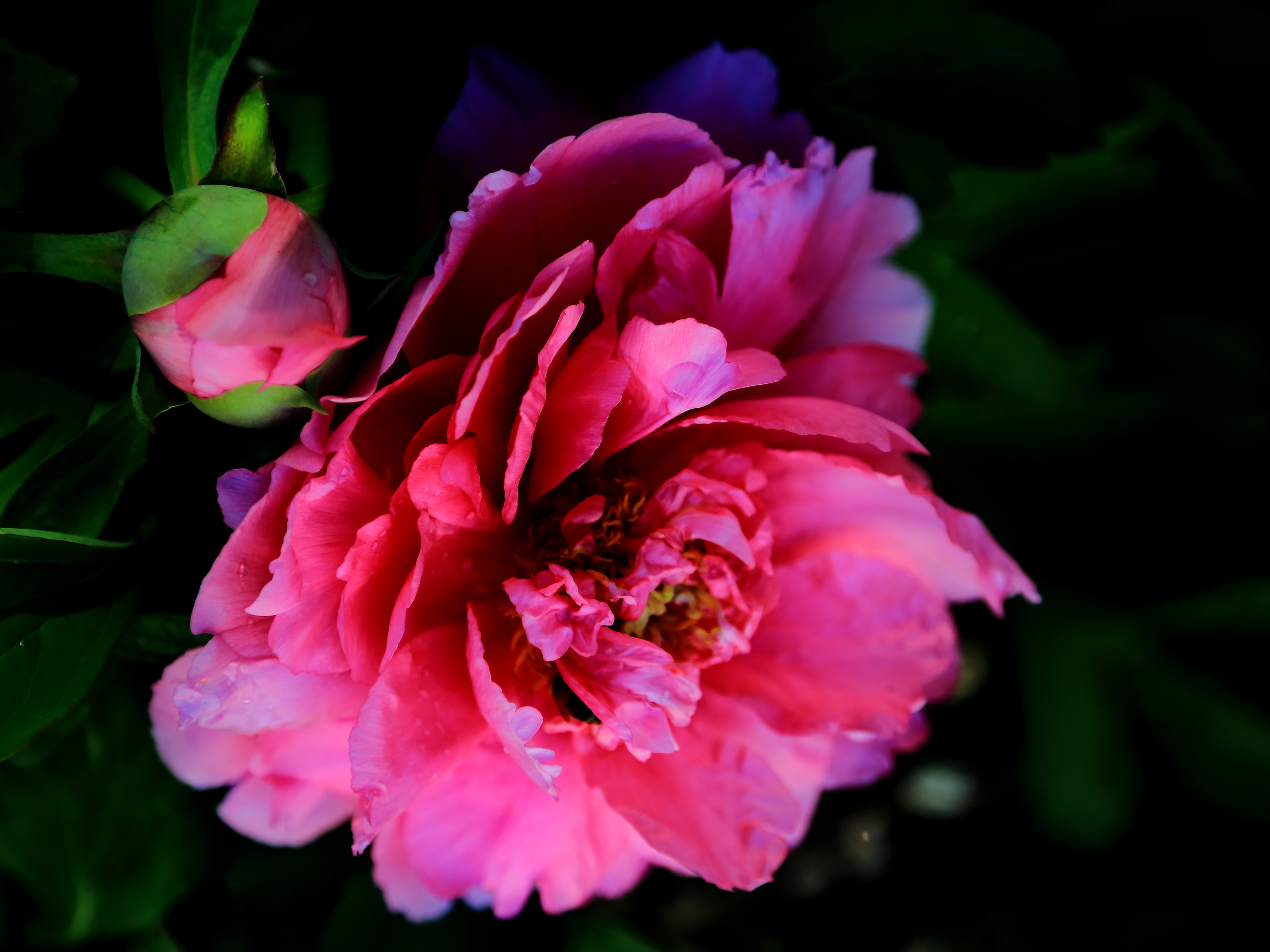 ��ɫ���� (11).jpg