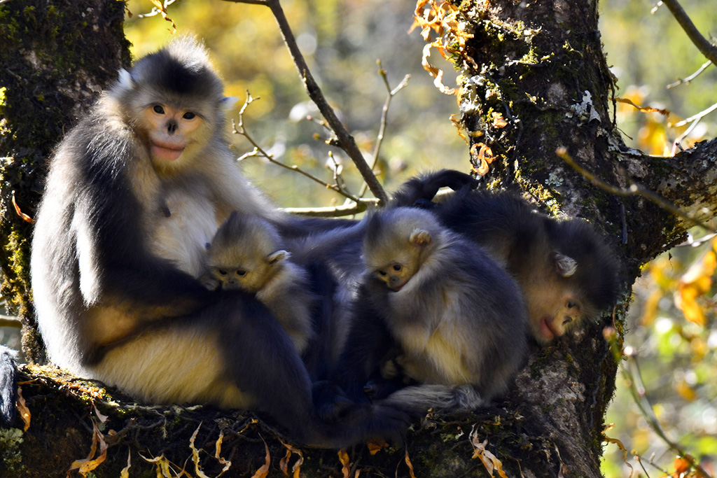 �� ��һ����