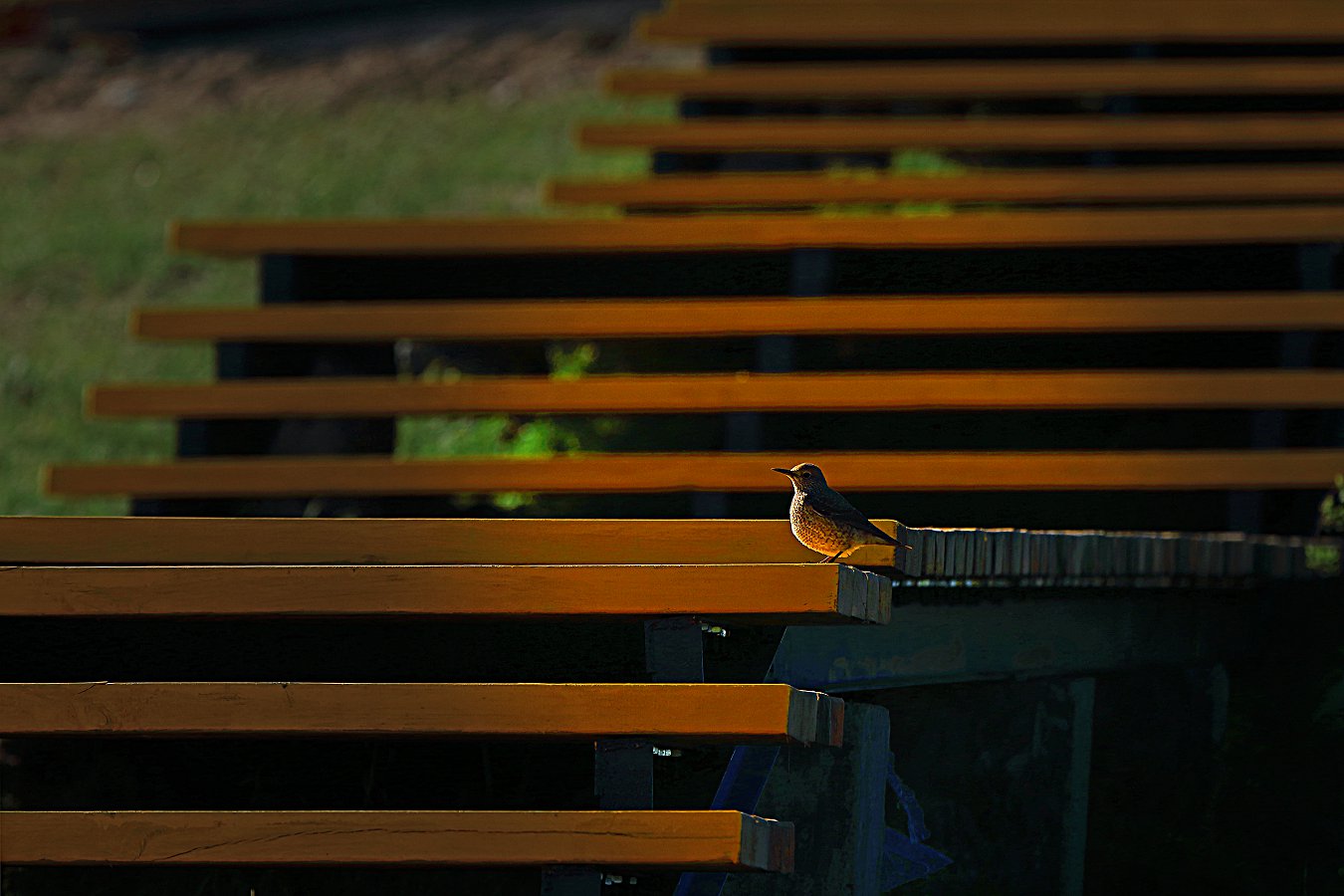 ��˭ռ���ҵĵط��������Ź� 13899508168.jpg