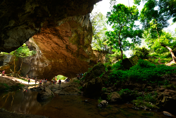 ���������Ŷ�