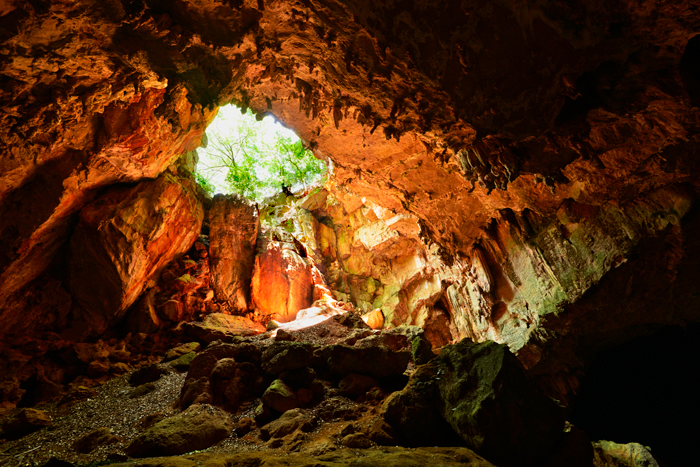 ���������Ŷ�