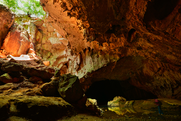 ���������Ŷ�