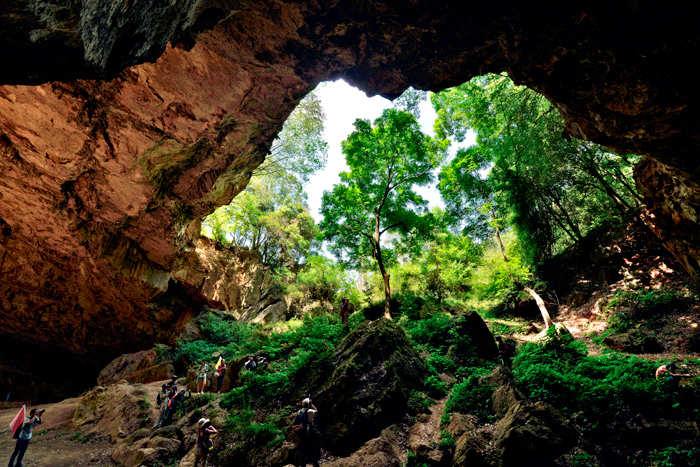 ���������Ŷ�