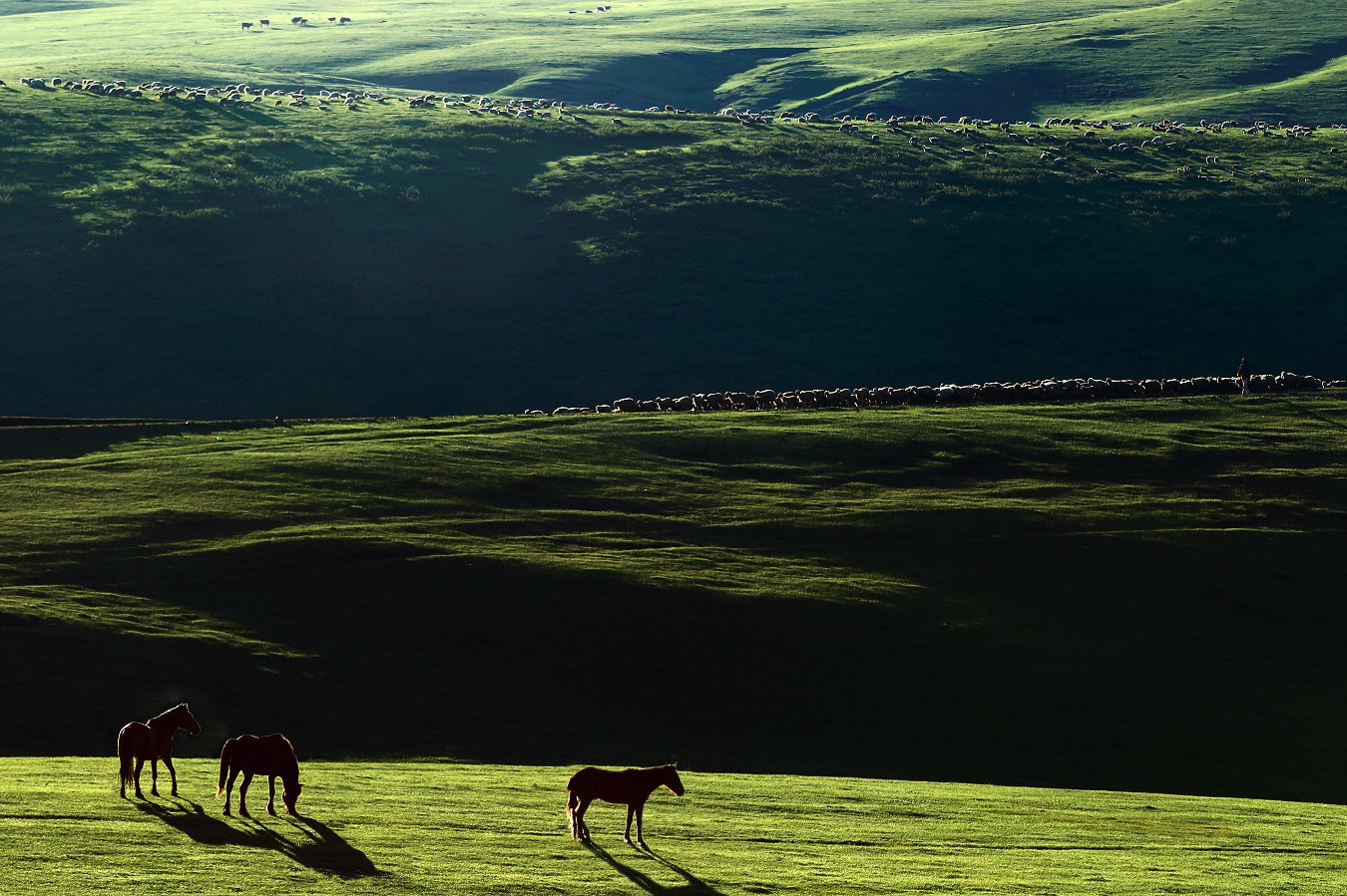 ����Ȼ������ (2)���Ź� 13899508168.jpg