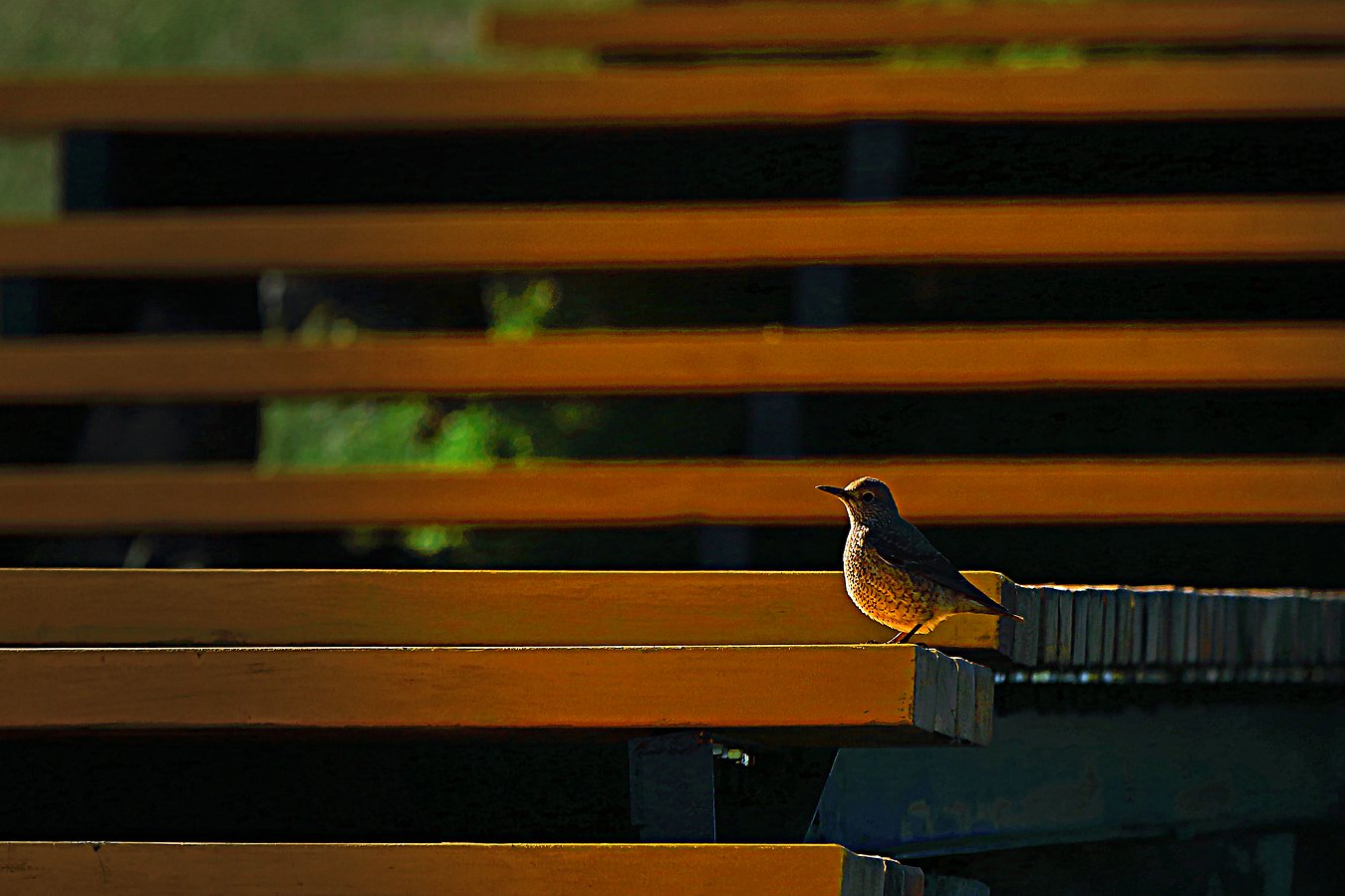 Q��˭ռ���ҵĵط��������Ź� 13899508168.jpg