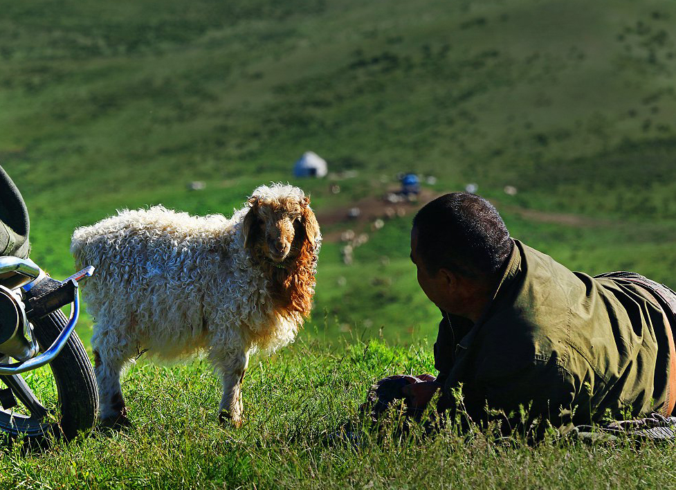 2���Ի������Ź� 13899508168.jpg