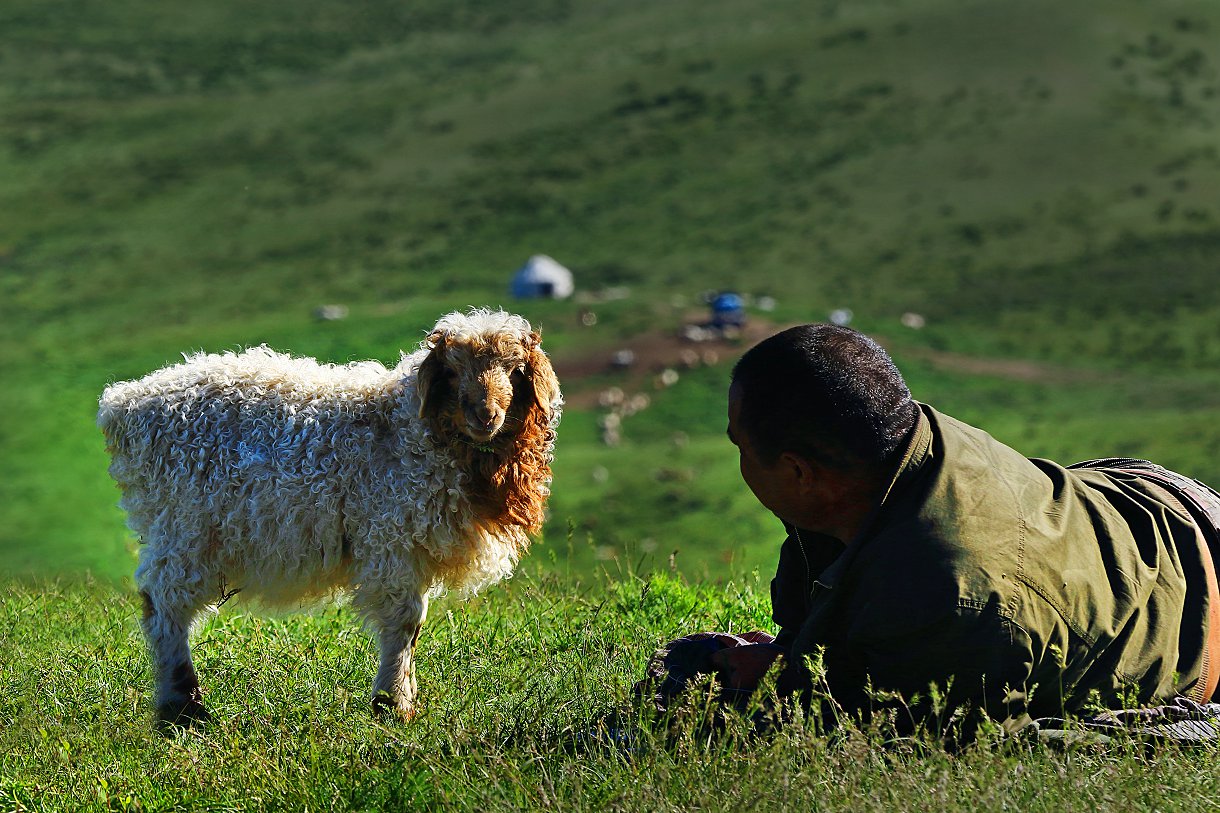 Q���Ի������Ź� 13899508168.jpg