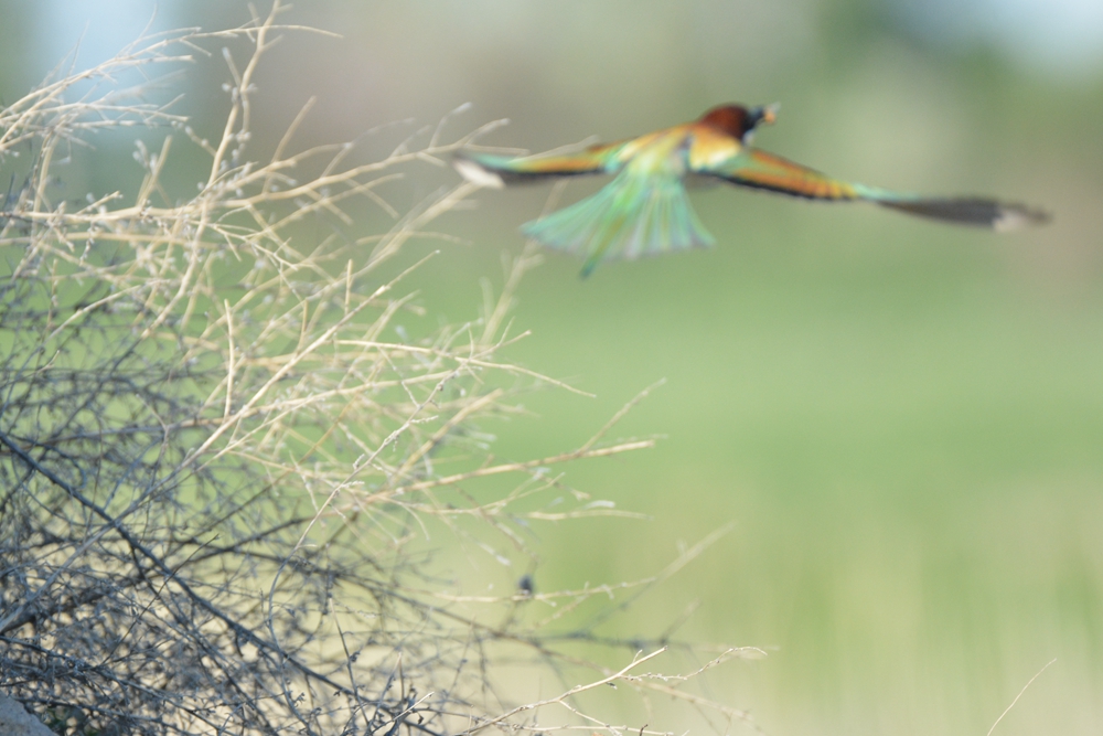 �ƺ��仢 1029_����.jpg