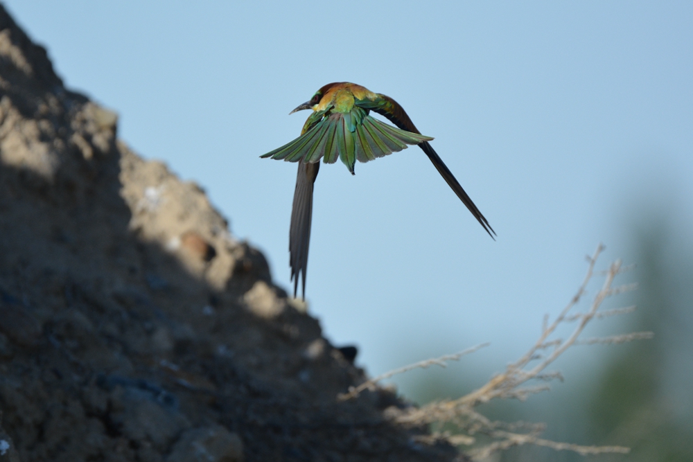 �ƺ��仢 999_����.jpg