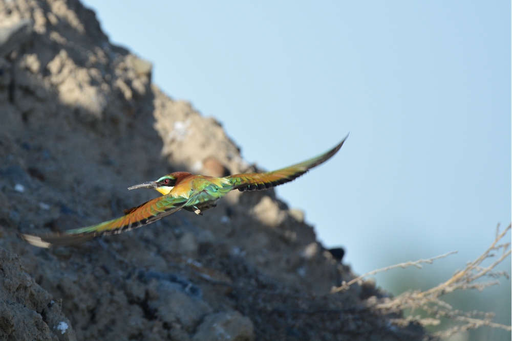 �ƺ��仢 1001_����.jpg