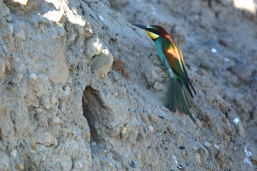 �ƺ��仢 1003_����.jpg