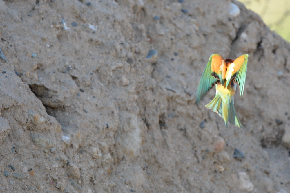 �ƺ��仢 1007_����.jpg