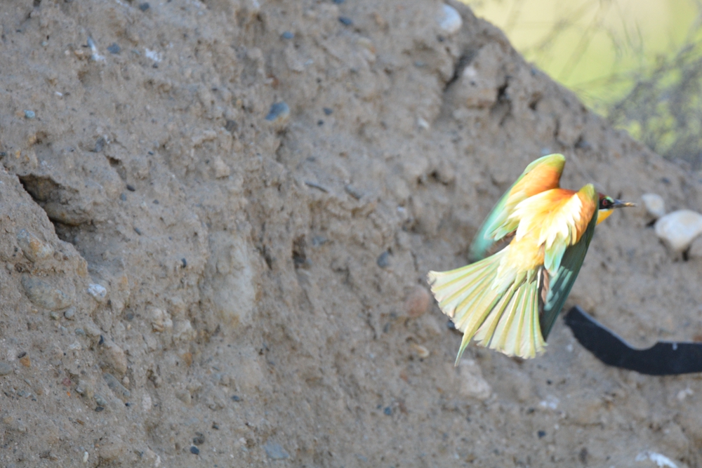 �ƺ��仢 1008_����.jpg