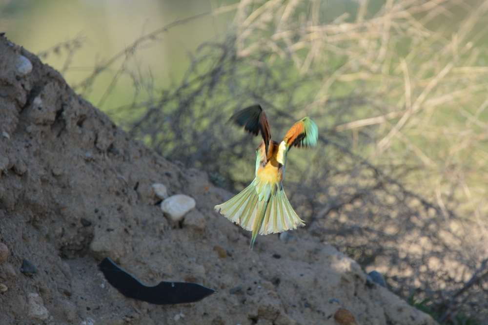 �ƺ��仢 1009_����.jpg