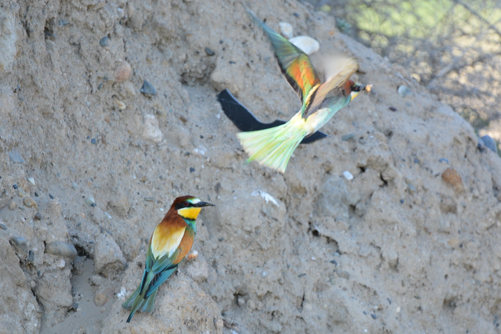 �ƺ��仢 1026_����.jpg