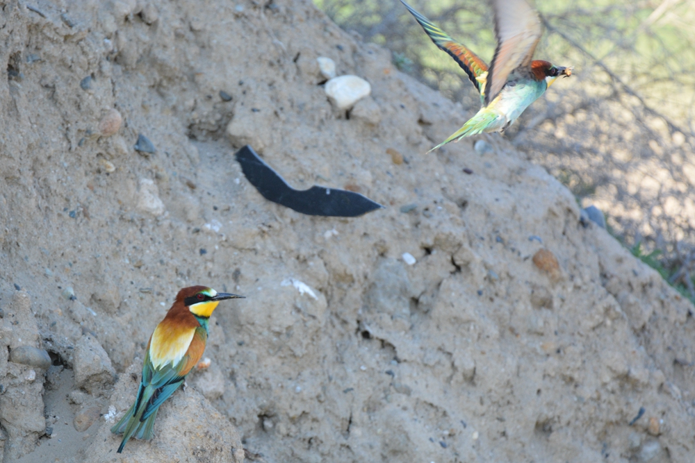 �ƺ��仢 1027_����.jpg