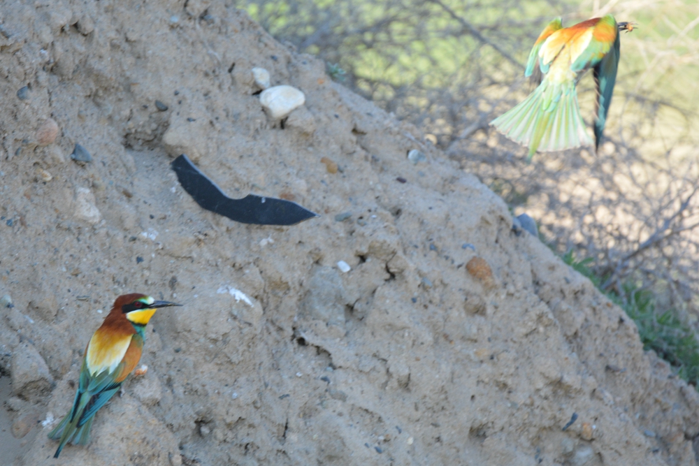 �ƺ��仢 1028_����.jpg