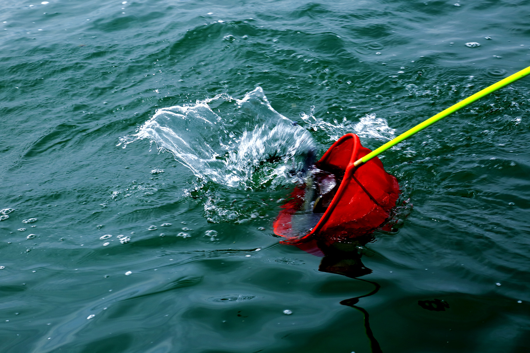 ������������� (4).jpg