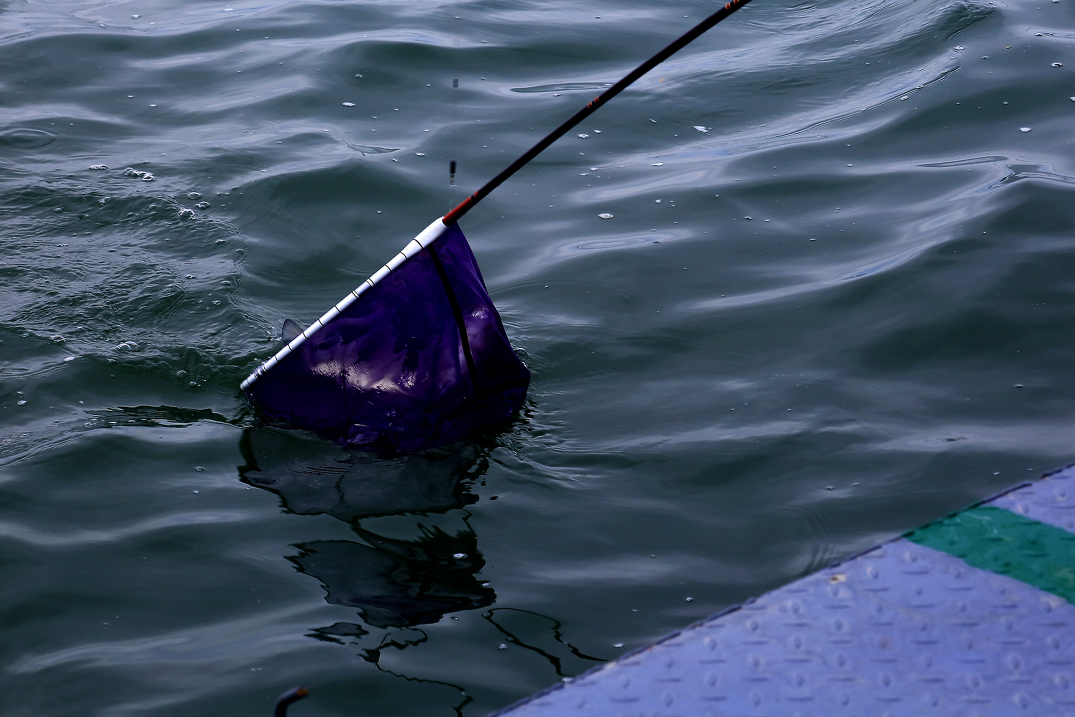 ������������� (5).jpg