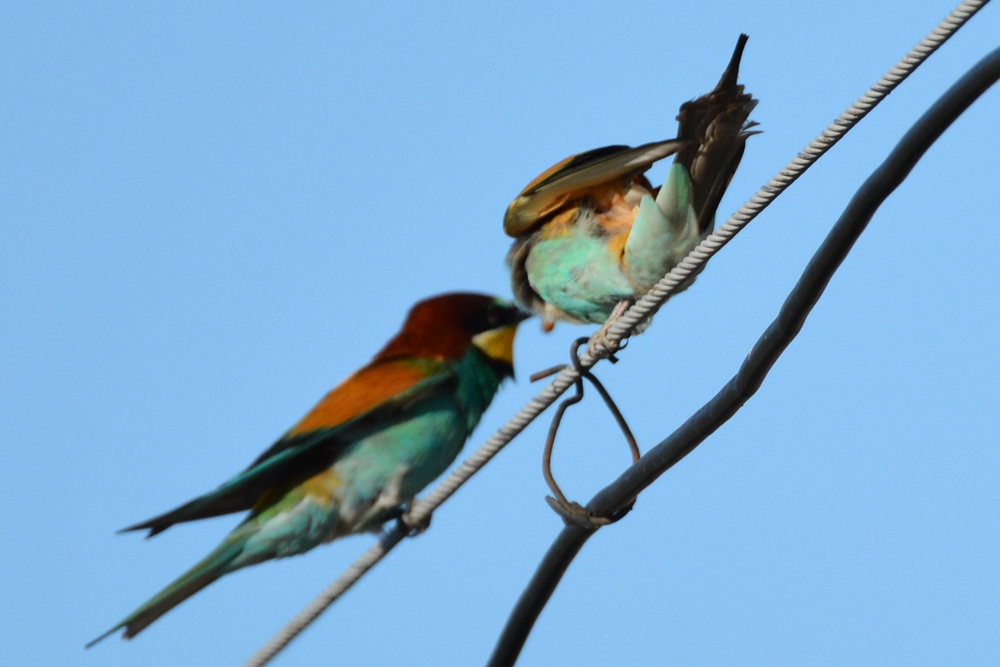 �ƺ��仢 1015_����.jpg