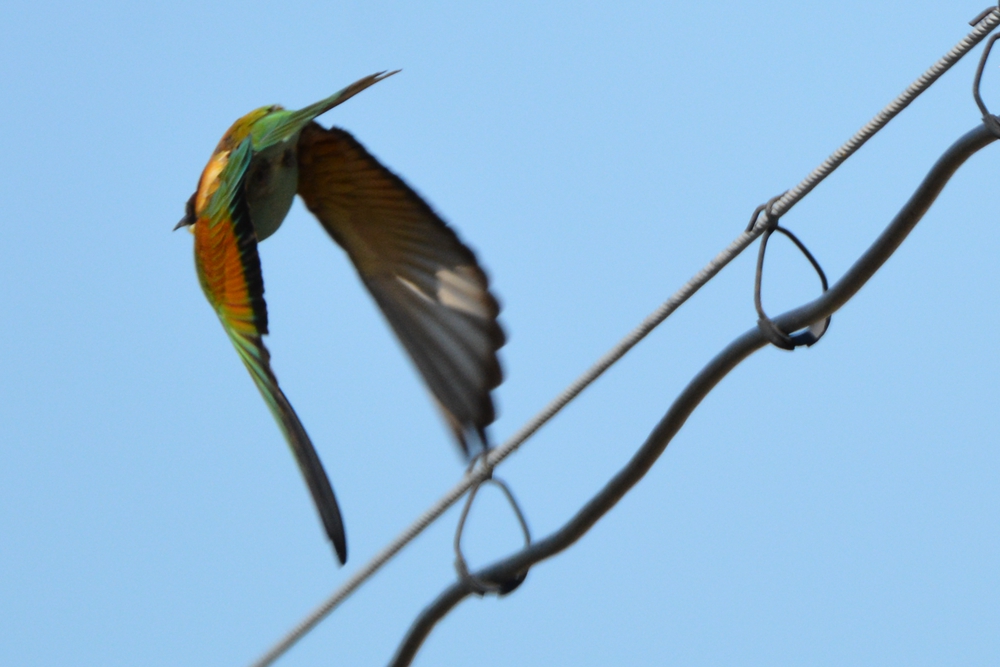 �ƺ��仢 365_����.jpg