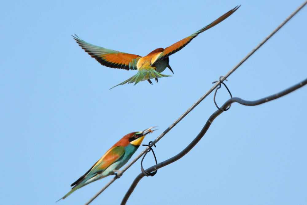 �ƺ��仢 384_����.jpg