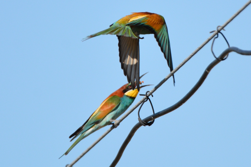 �ƺ��仢 385_����.jpg