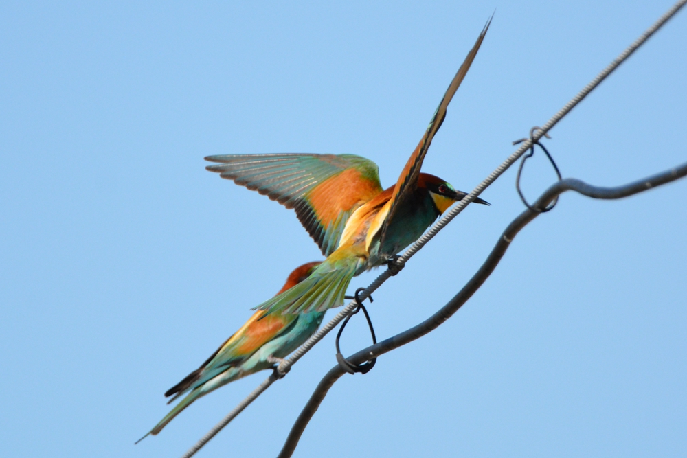 �ƺ��仢 386_����.jpg