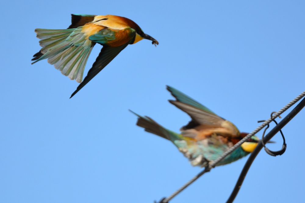 �ƺ��仢 568_����.jpg