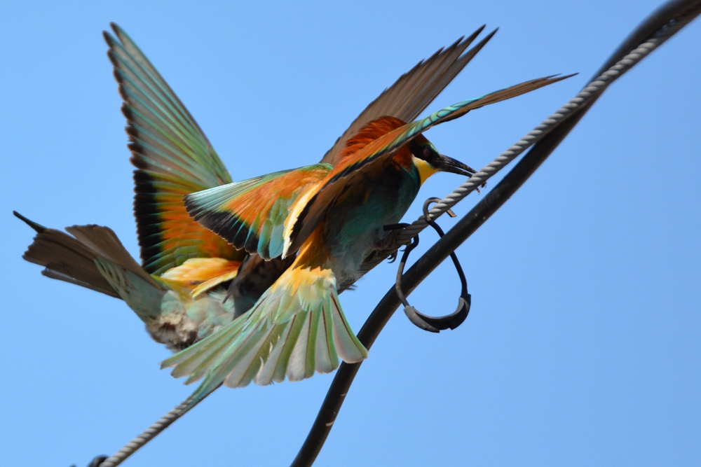 �ƺ��仢 569_����.jpg