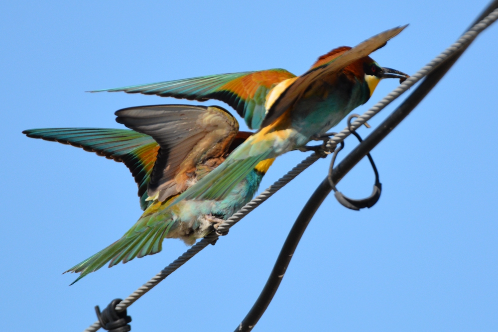 �ƺ��仢 570_����.jpg