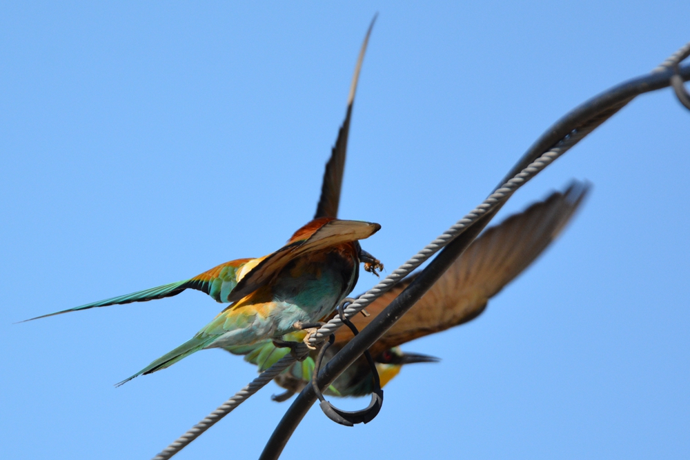 �ƺ��仢 571_����.jpg