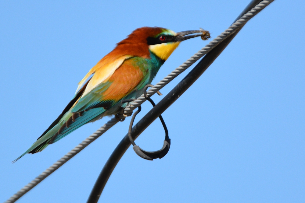 �ƺ��仢 583_����.jpg