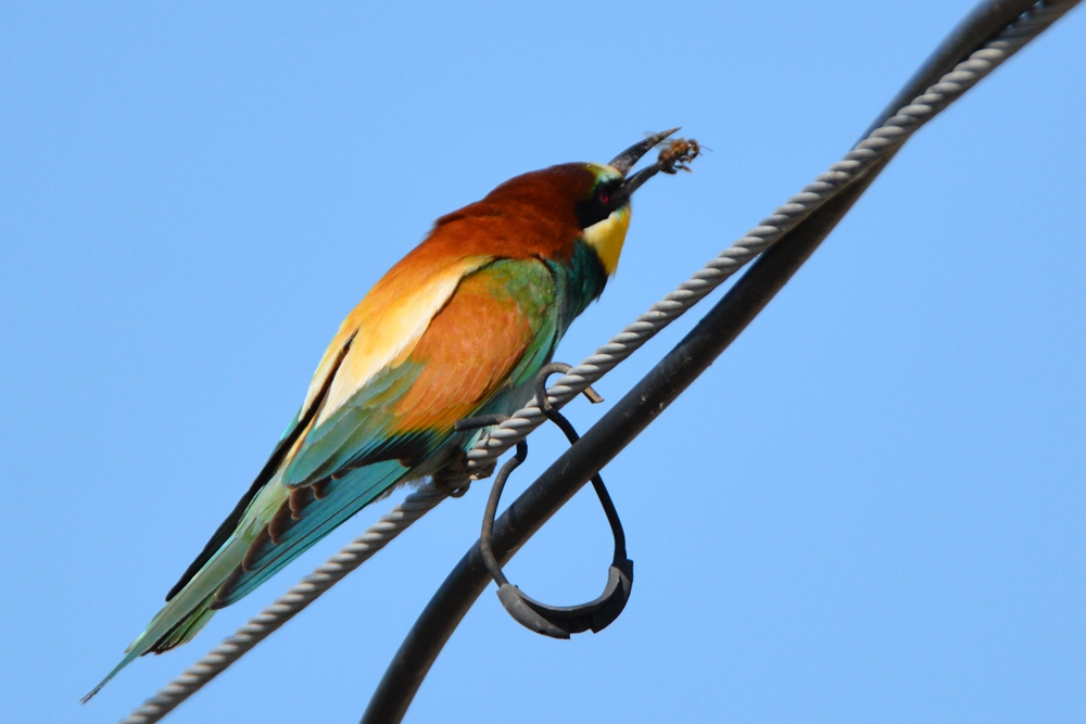 �ƺ��仢 589_����.jpg