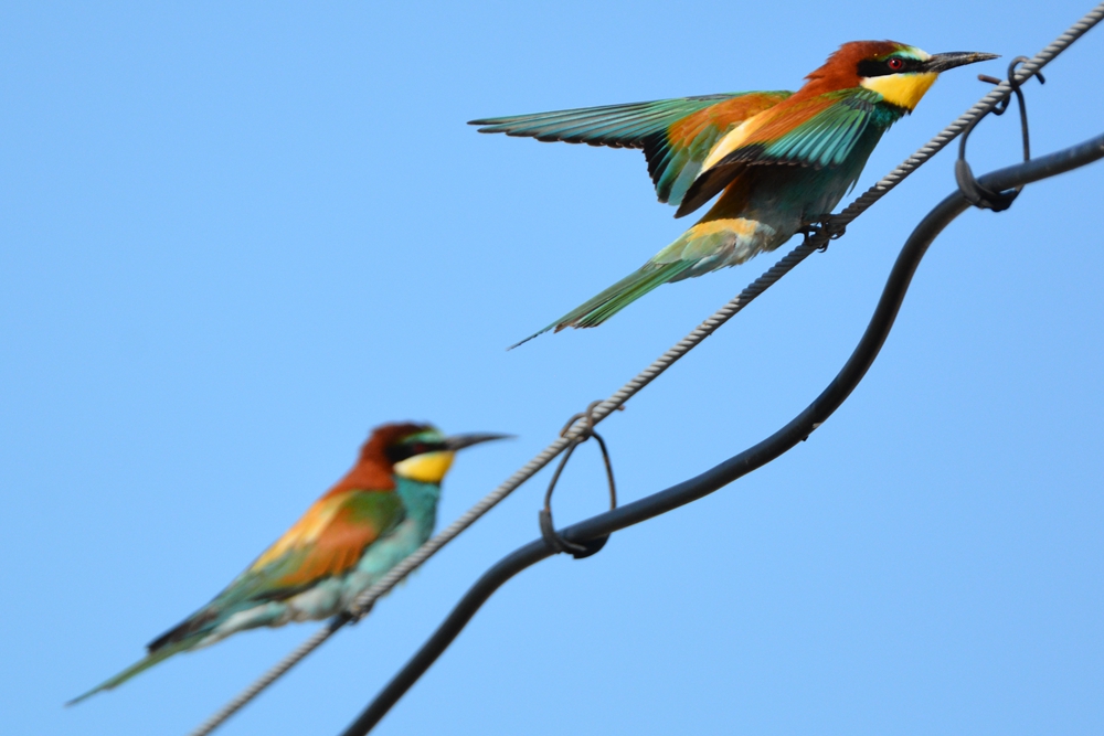 �ƺ��仢 808_����.jpg