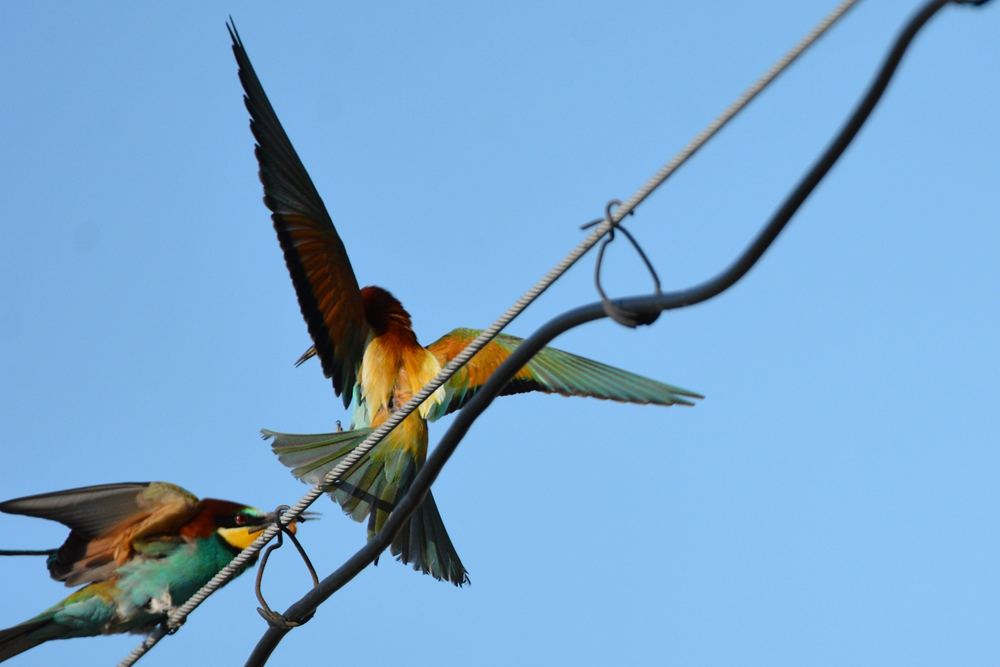 �ƺ��仢 1012_����.jpg