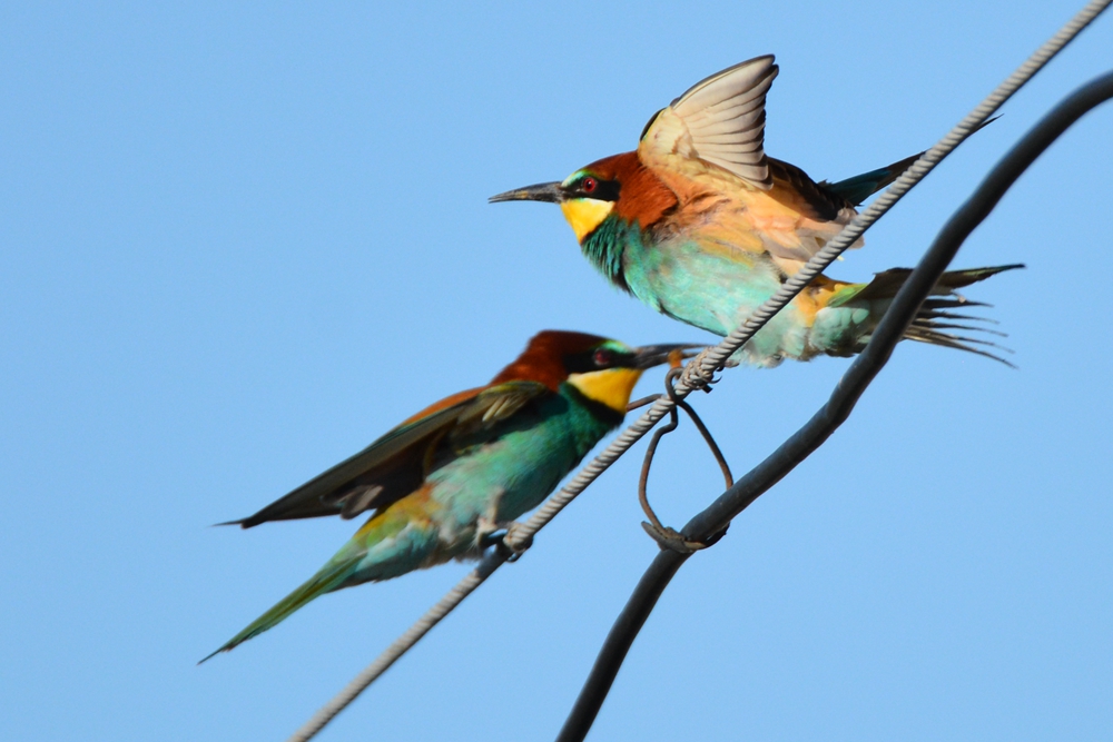 �ƺ��仢 1013_����.jpg