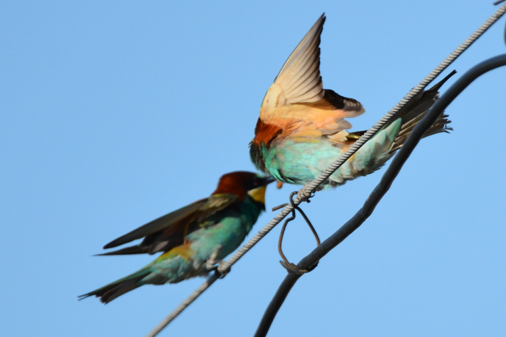 �ƺ��仢 1014_����.jpg