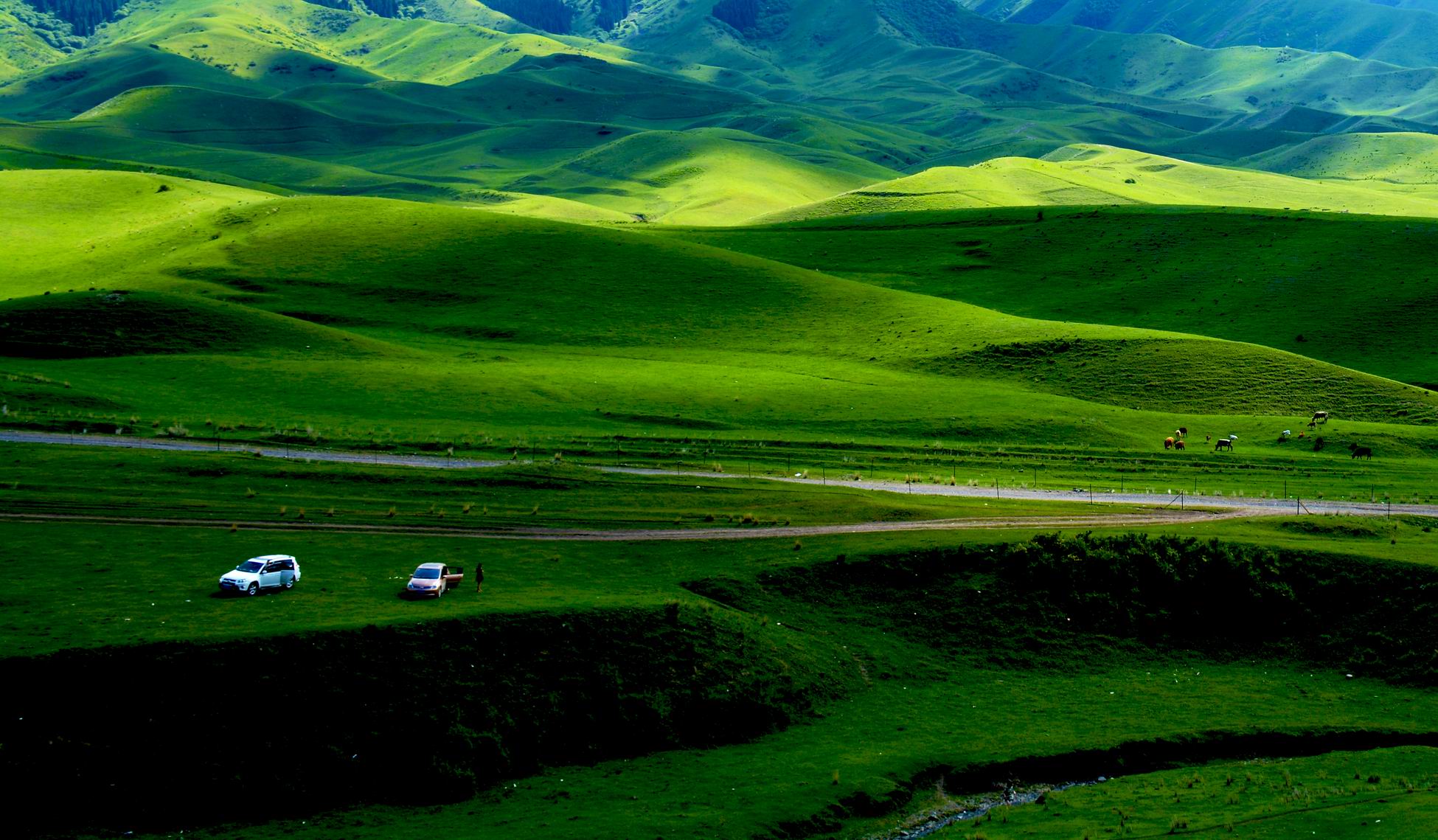 ������С 30.jpg