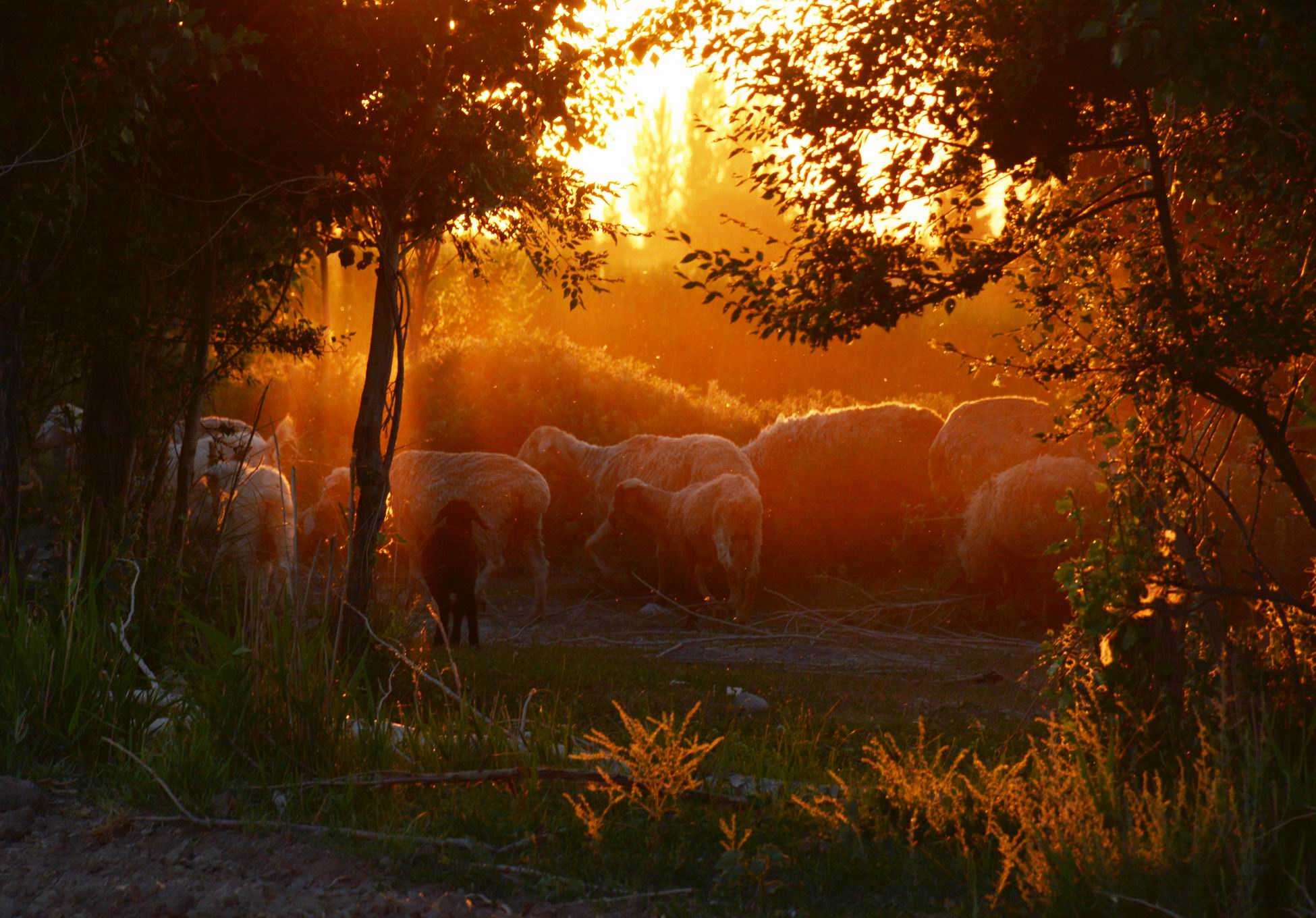 ������С 1.jpg